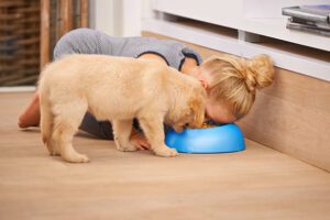 can humans eat dog food
