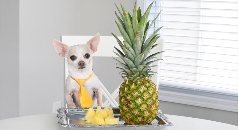 can dogs have pineapple