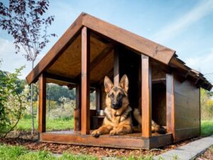 heated dog house