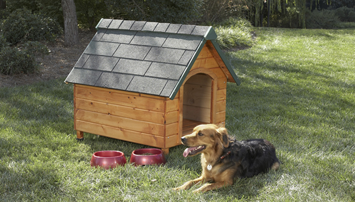 Dog House Plans