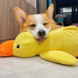 Duck dog toys